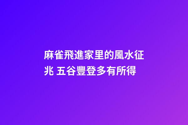 麻雀飛進家里的風水征兆 五谷豐登多有所得